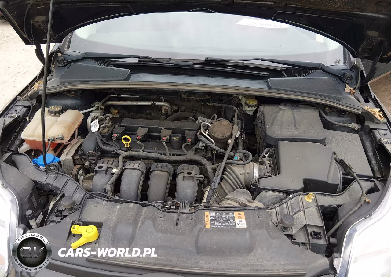 2014 Ford Focus Se VIN:1FADP3F28EL461126 - 10