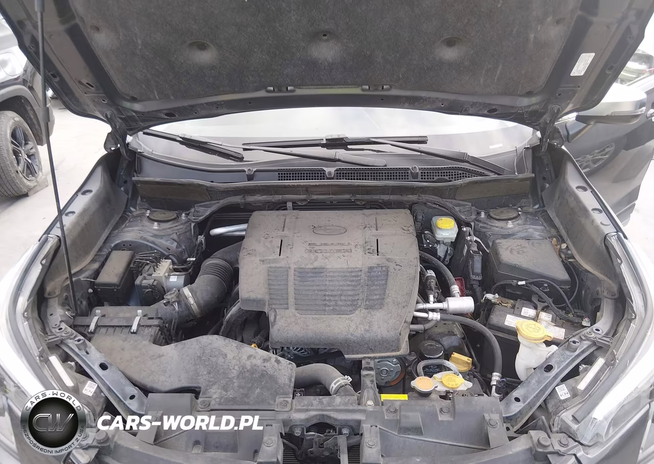 2024 Subaru Forester Touring VIN:JF2SKAMC7RH412722 - 10