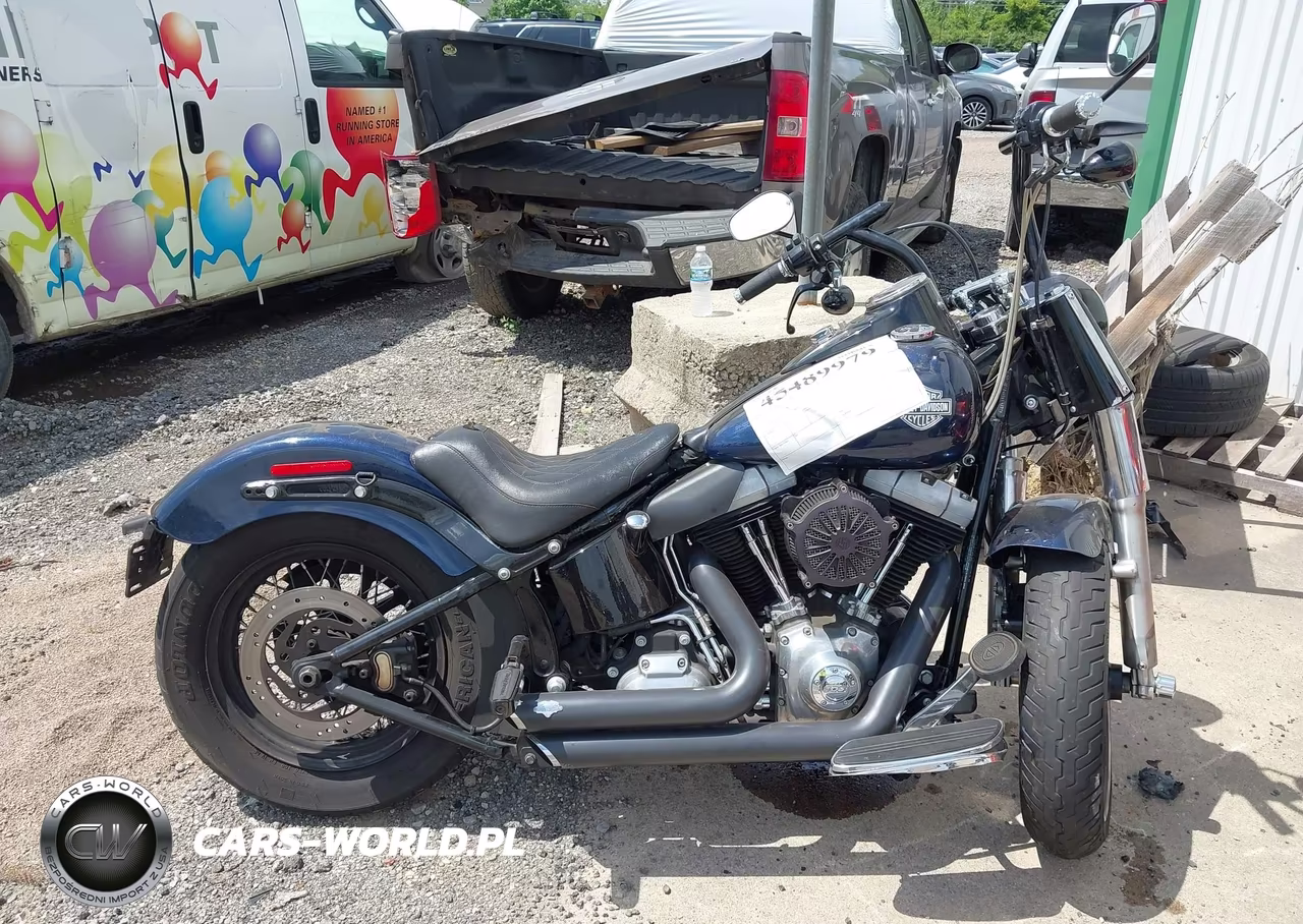 2013 Harley-Davidson Fls Softail Slim VIN:1HD1JRV14DB024897 - 11