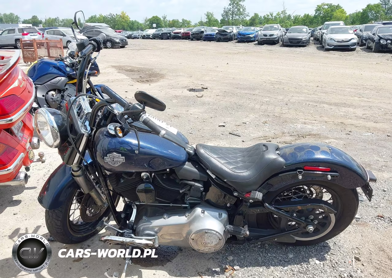 2013 Harley-Davidson Fls Softail Slim VIN:1HD1JRV14DB024897 - 12