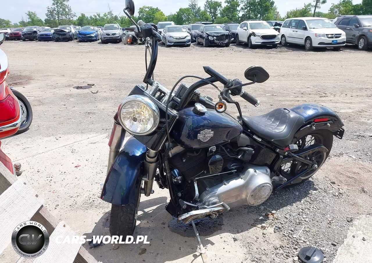 2013 Harley-Davidson Fls Softail Slim VIN:1HD1JRV14DB024897 - 2