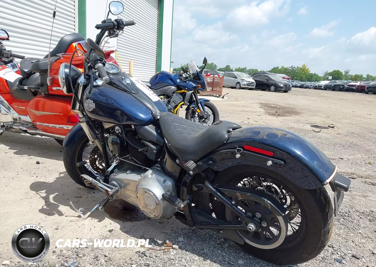 2013 Harley-Davidson Fls Softail Slim VIN:1HD1JRV14DB024897 - 3