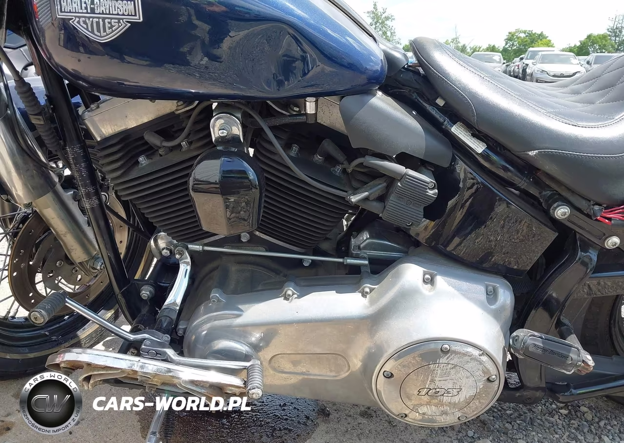 2013 Harley-Davidson Fls Softail Slim VIN:1HD1JRV14DB024897 - 9