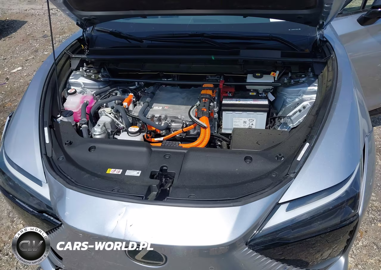 2026 Lexus Rz 350E Premium VIN:JTJBDADB1TA002673 - 10