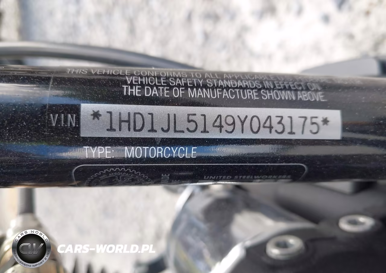 2009 Harley-Davidson Fxstc VIN:1HD1JL5149Y043175 - 10