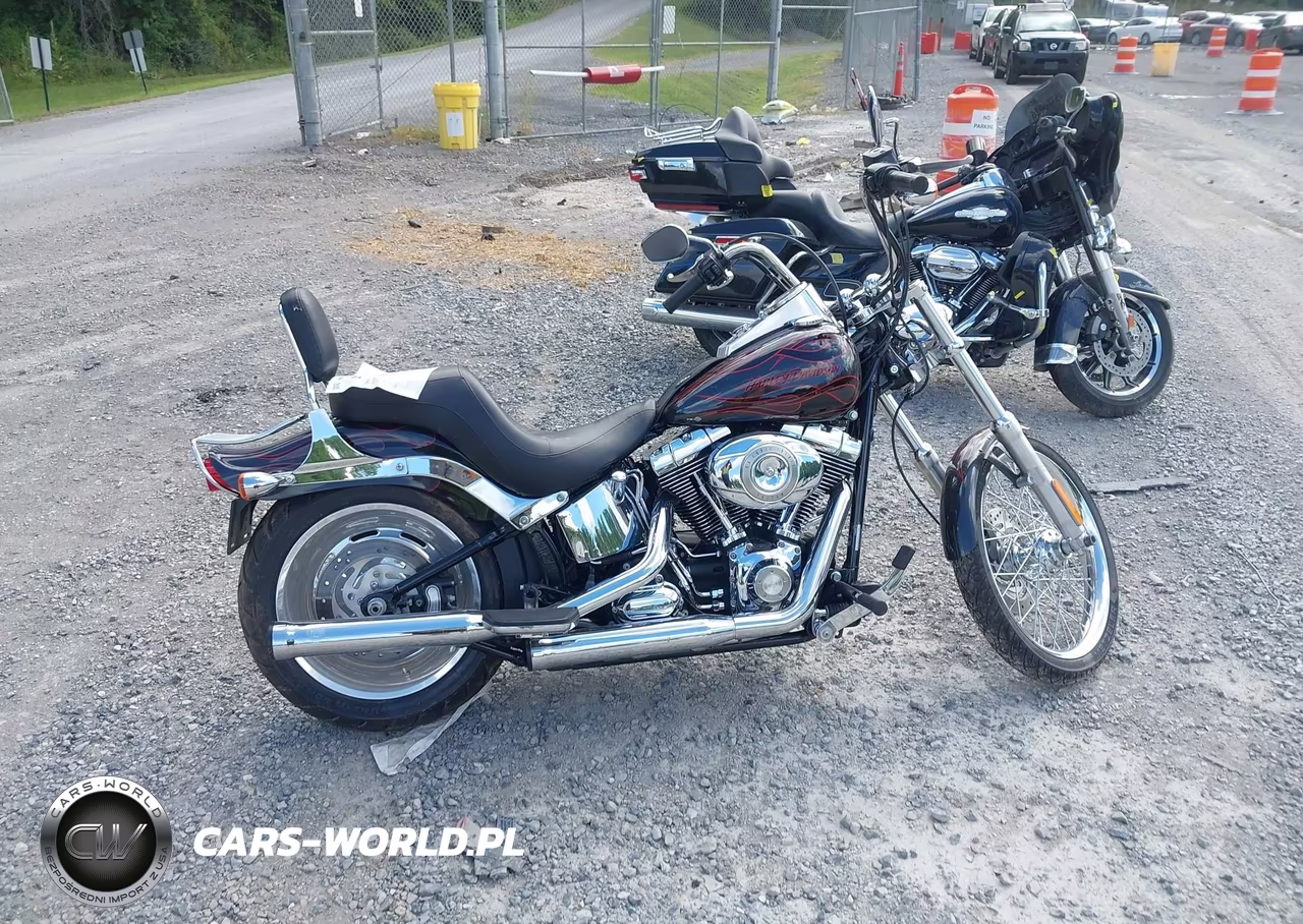 2009 Harley-Davidson Fxstc VIN:1HD1JL5149Y043175 - 12