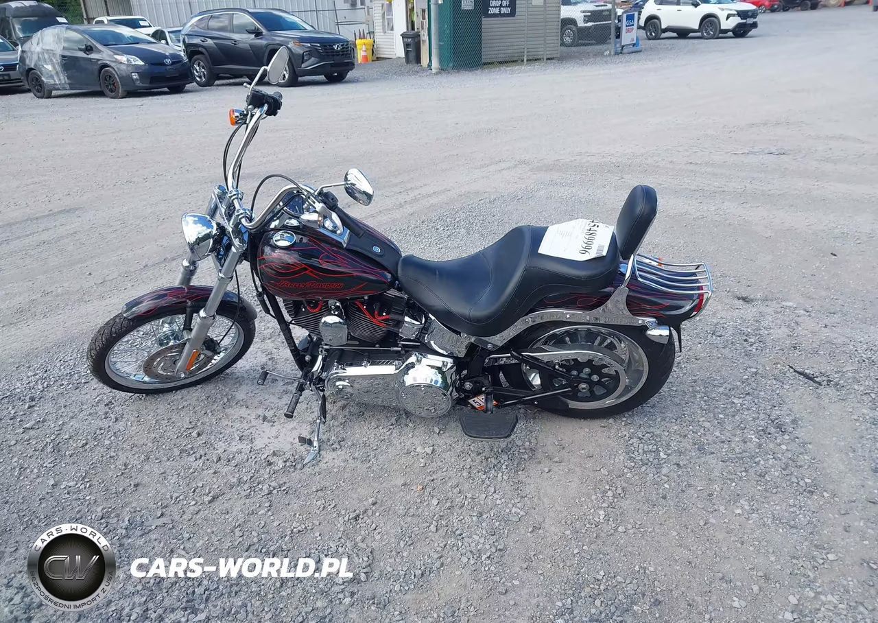 2009 Harley-Davidson Fxstc VIN:1HD1JL5149Y043175 - 13