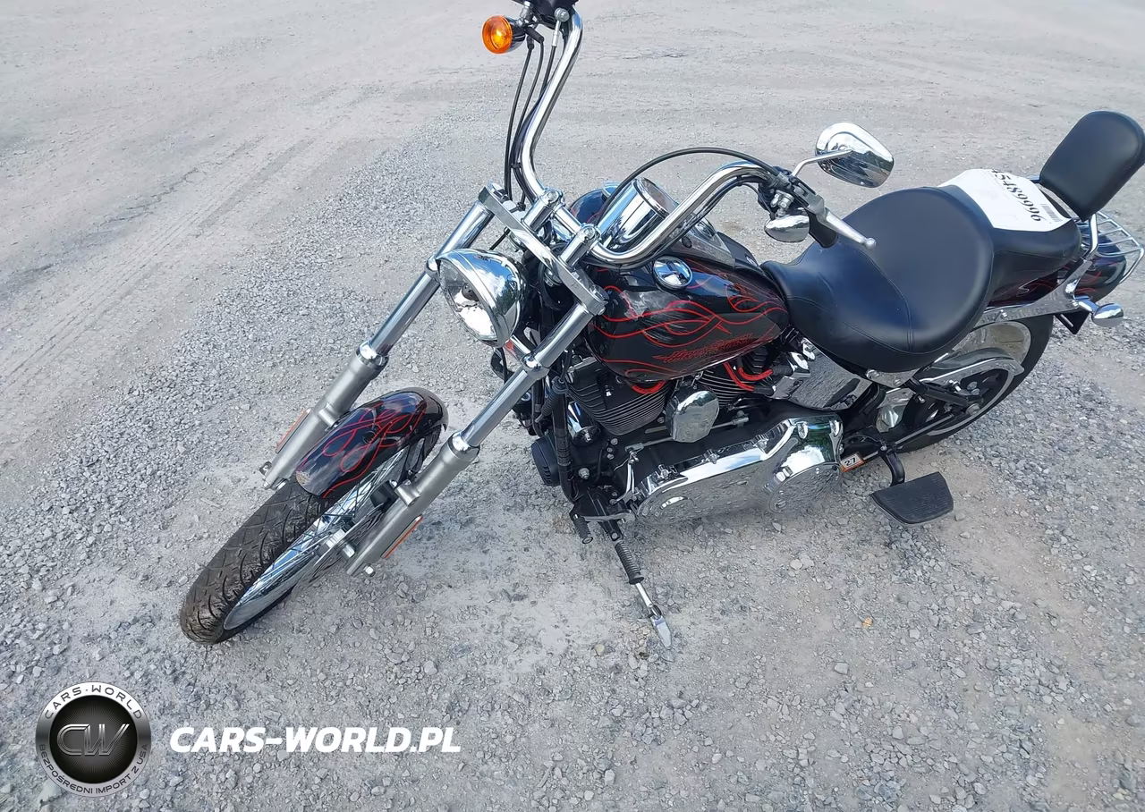 2009 Harley-Davidson Fxstc VIN:1HD1JL5149Y043175 - 2