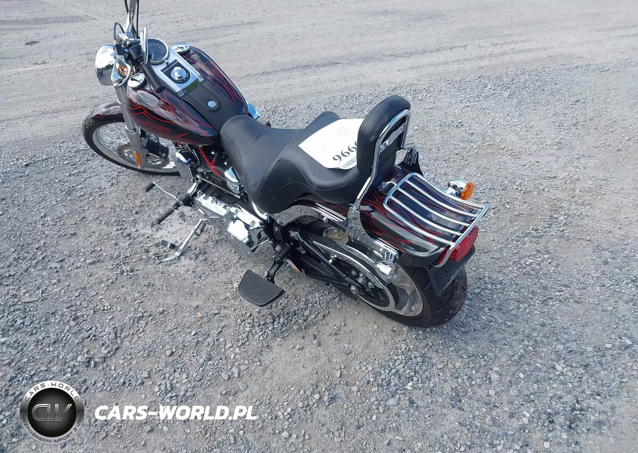 2009 Harley-Davidson Fxstc VIN:1HD1JL5149Y043175 - 3