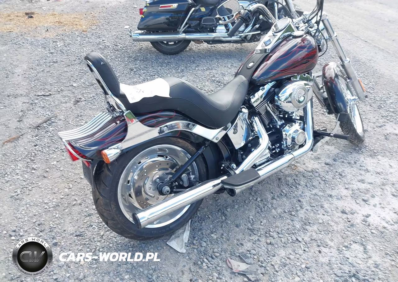 2009 Harley-Davidson Fxstc VIN:1HD1JL5149Y043175 - 4