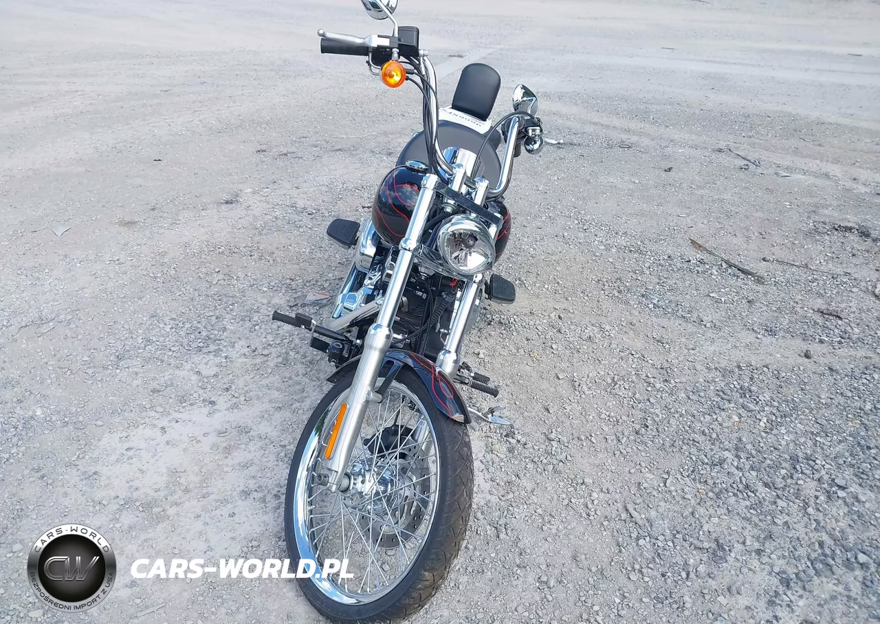 2009 Harley-Davidson Fxstc VIN:1HD1JL5149Y043175 - 5
