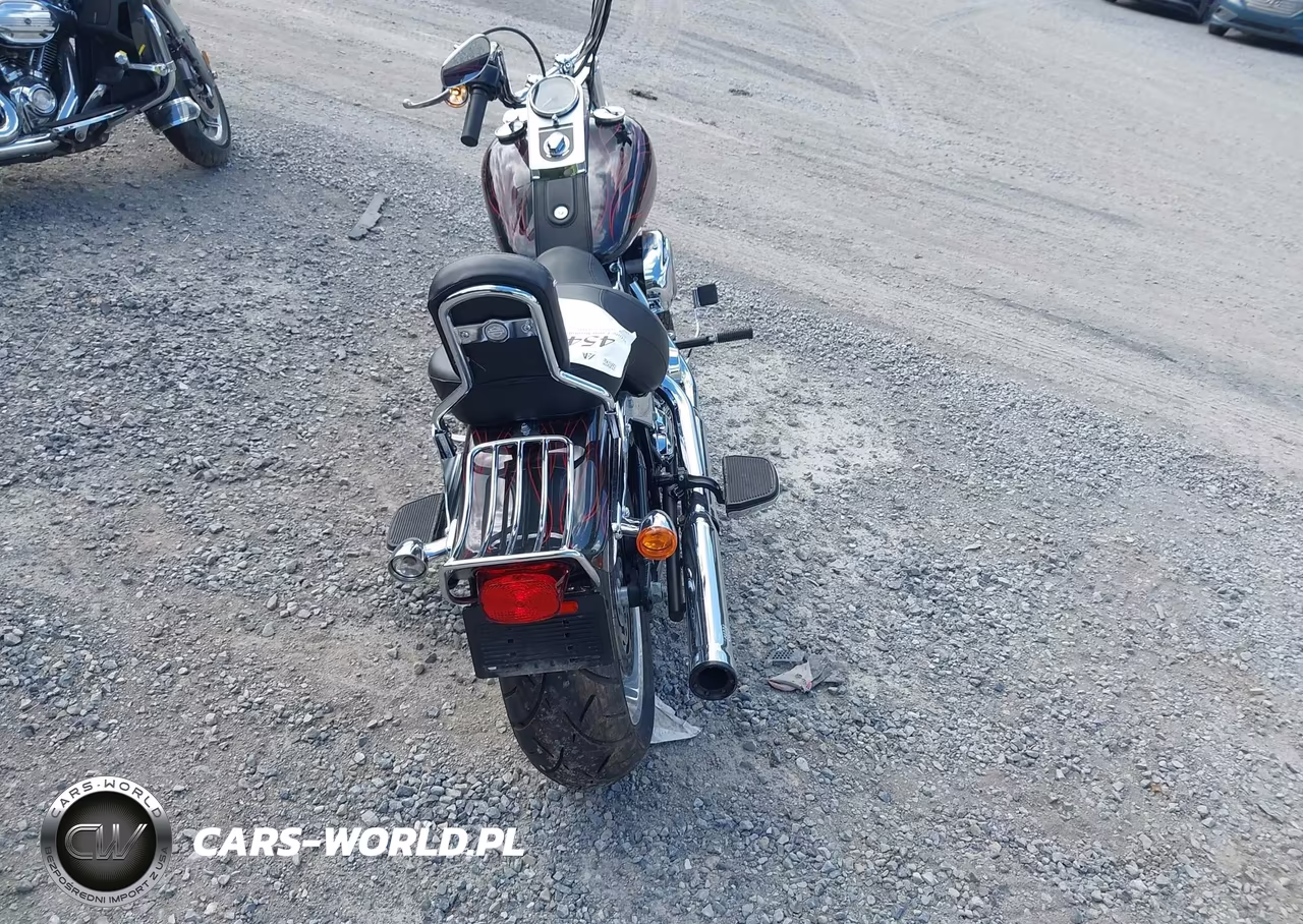 2009 Harley-Davidson Fxstc VIN:1HD1JL5149Y043175 - 6
