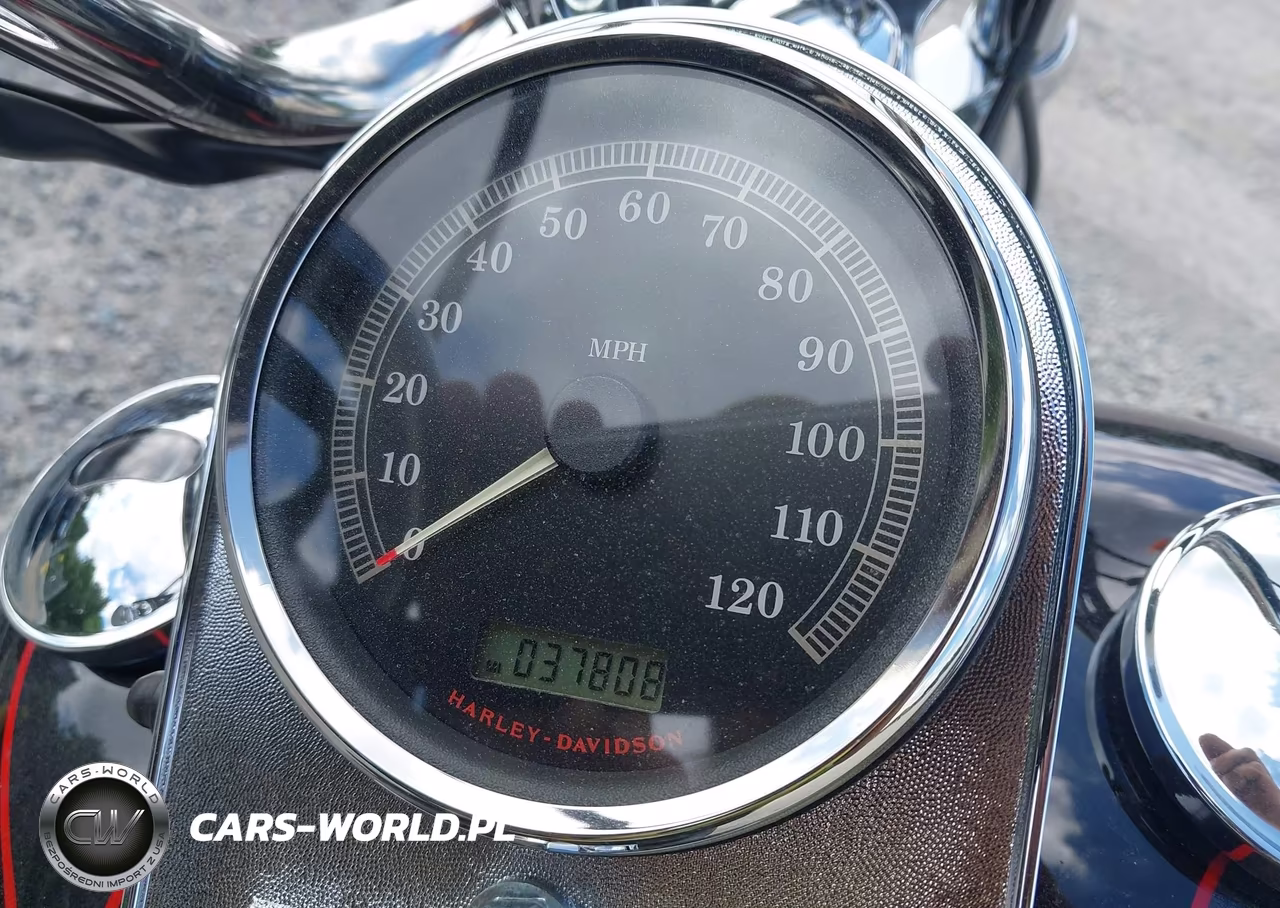 2009 Harley-Davidson Fxstc VIN:1HD1JL5149Y043175 - 7