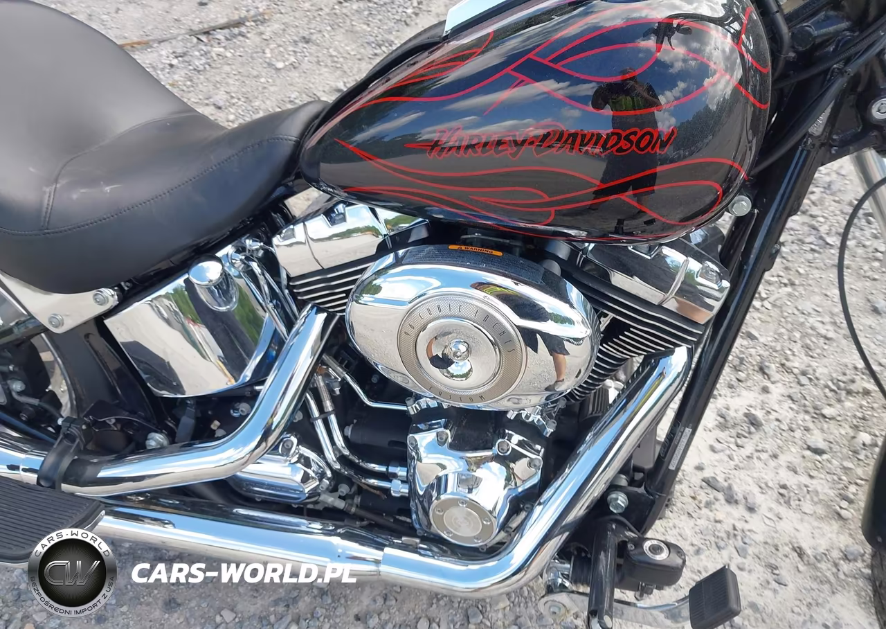 2009 Harley-Davidson Fxstc VIN:1HD1JL5149Y043175 - 8
