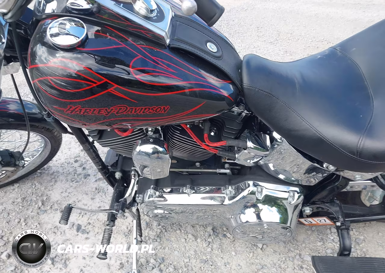 2009 Harley-Davidson Fxstc VIN:1HD1JL5149Y043175 - 9