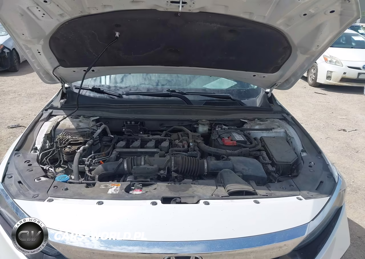 2019 Honda Accord Lx VIN:1HGCV1F16KA106570 - 10