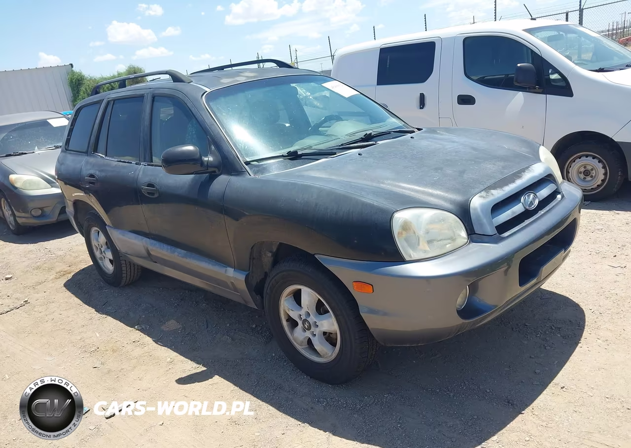 2006 Hyundai Santa Fe Gls