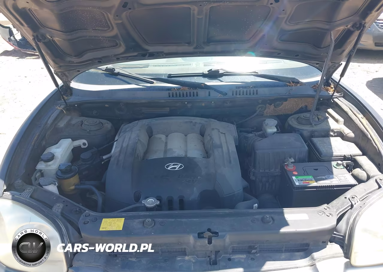 2006 Hyundai Santa Fe Gls VIN:KM8SC13D66U086903 - 10