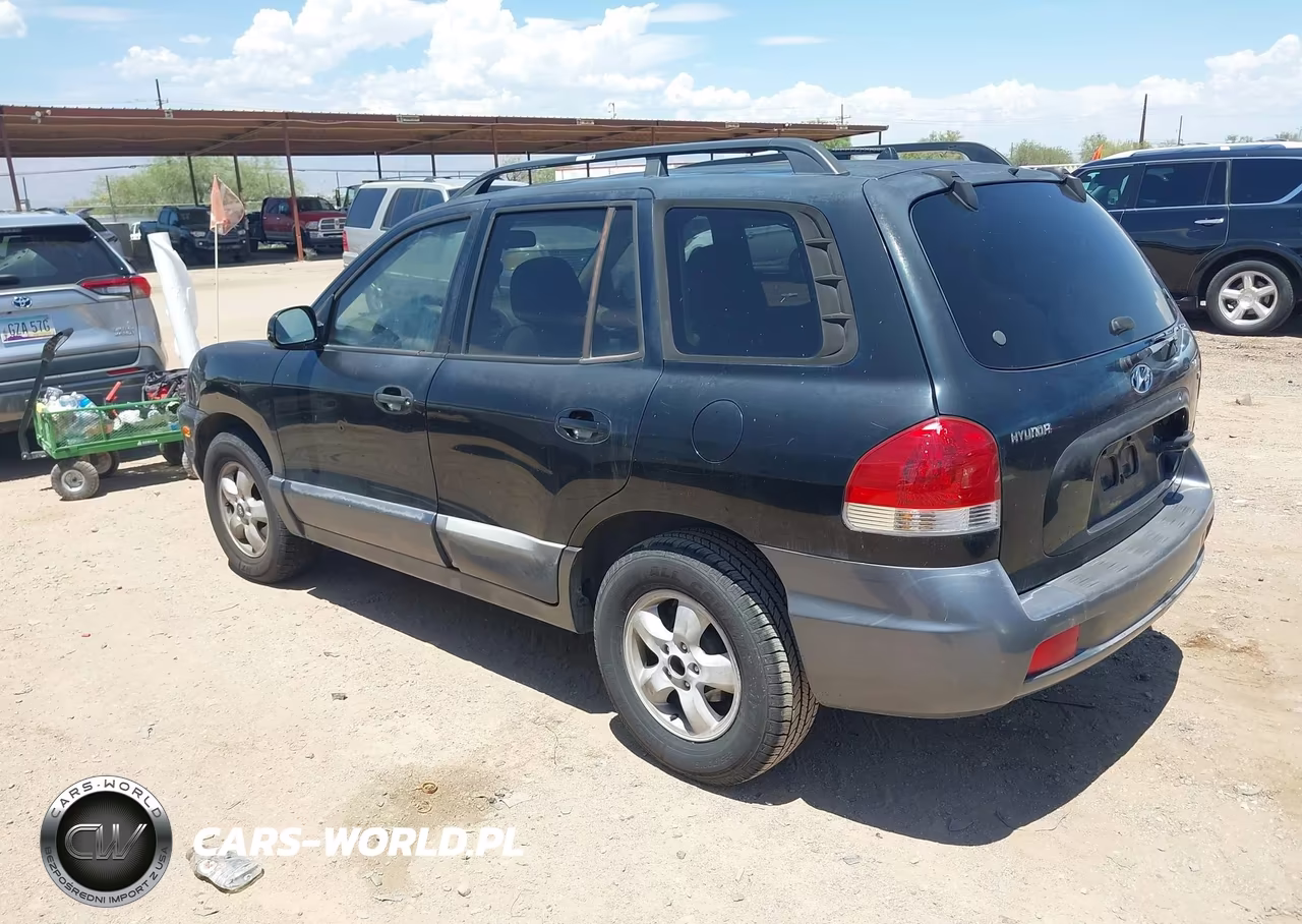 2006 Hyundai Santa Fe Gls VIN:KM8SC13D66U086903 - 3