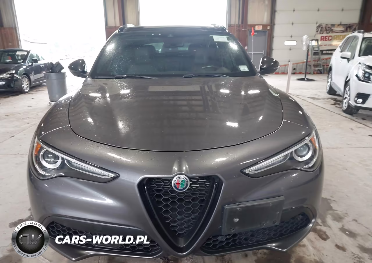2020 Alfa Romeo Stelvio Ti Sport Awd VIN:ZASPAKBN0L7C73734 - 12