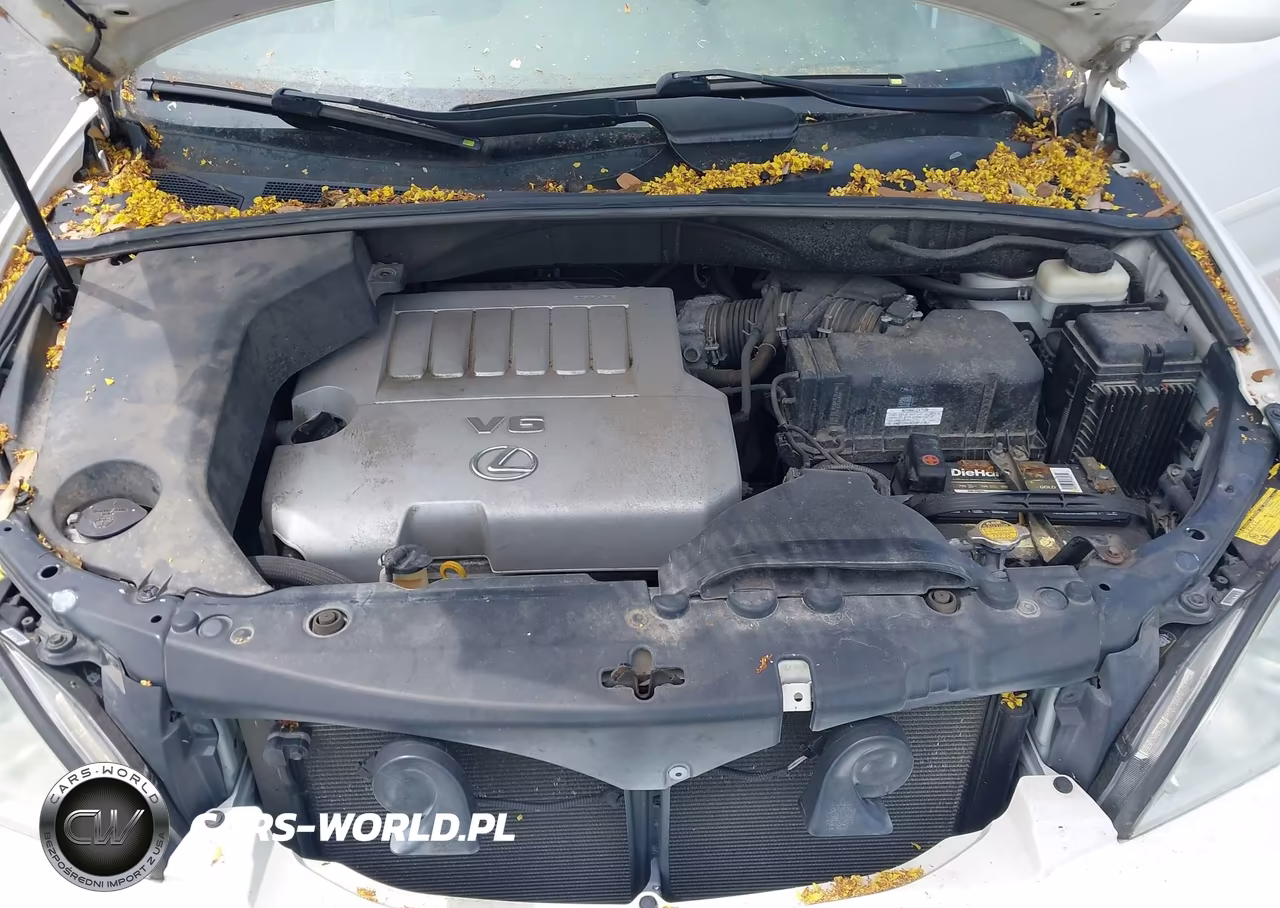 2007 Lexus Rx 350 VIN:2T2HK31U57C015038 - 10