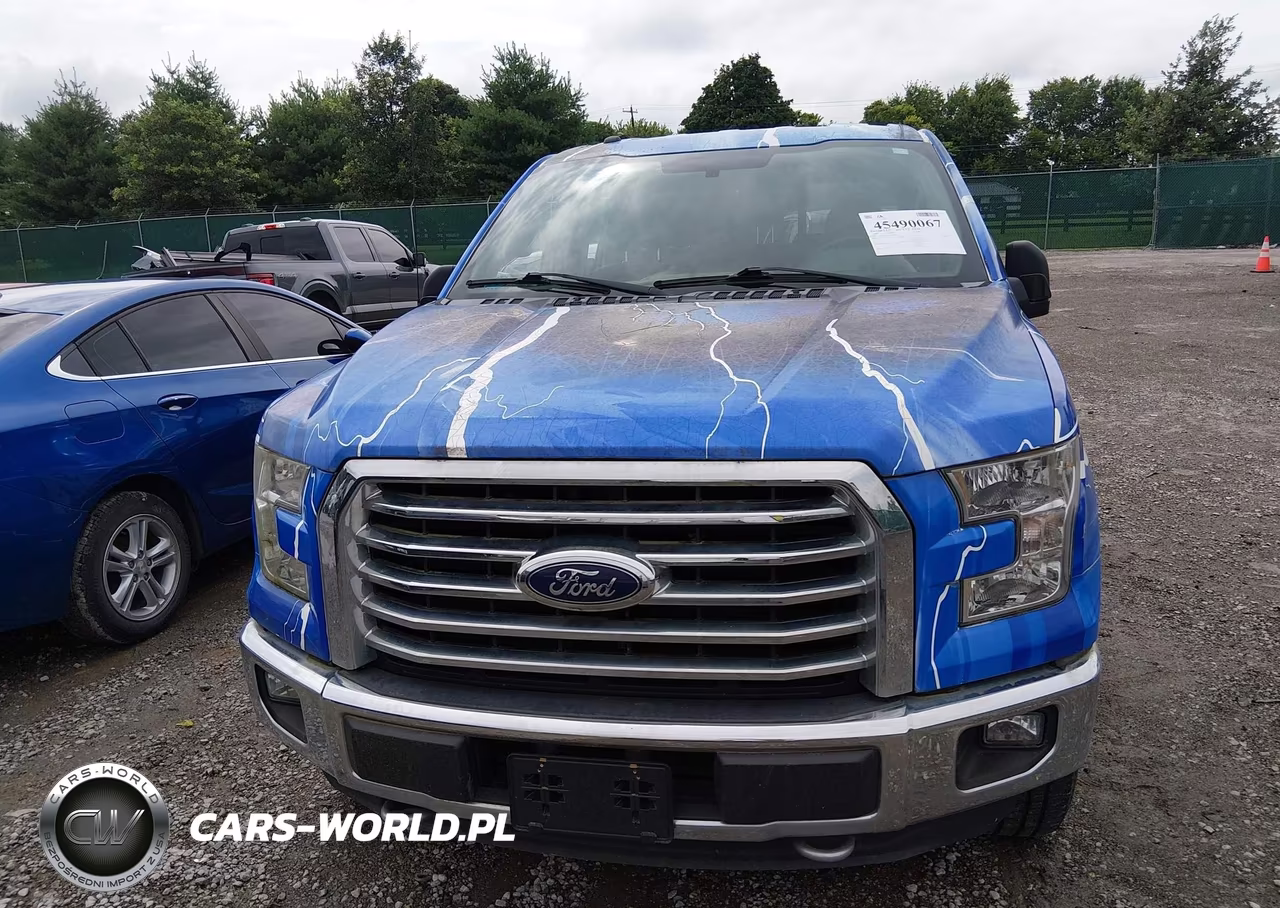 2016 Ford F-150 Lariat-Xl-Xlt VIN:1FTEW1EP5GFD53082 - 12