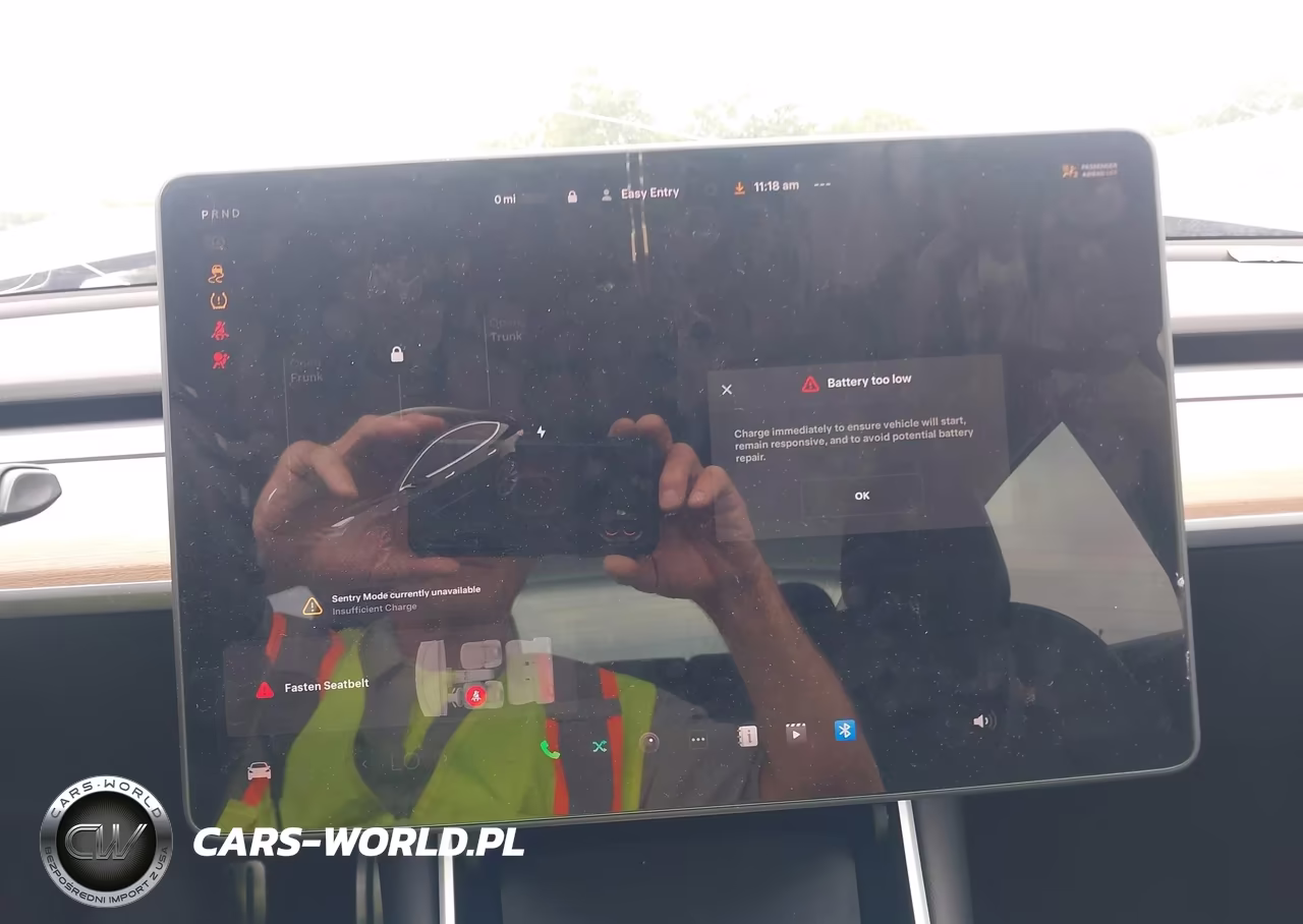 2020 Tesla Model 3 Performance Dual Motor All-Wheel Drive VIN:5YJ3E1EC3LF713147 - 19