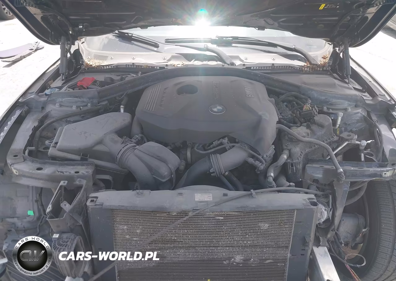 2018 BMW 430I Gran Coupe xDrive VIN:WBA4J3C57JBG95266 - 10