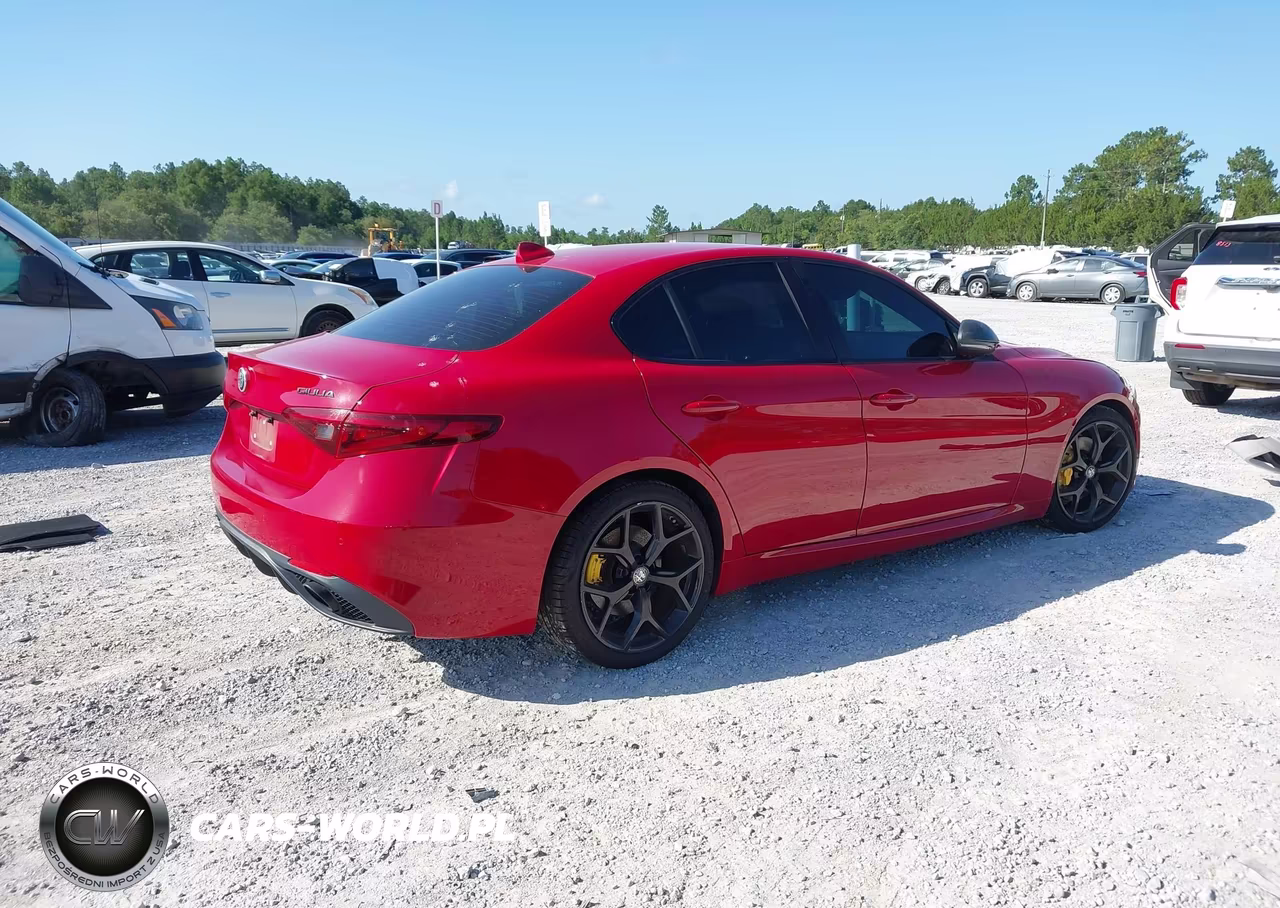 2020 Alfa Romeo Giulia Sport Rwd VIN:ZARFAMAN0L7626075 - 4
