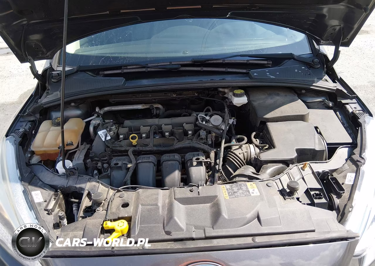 2018 Ford Focus Se VIN:1FADP3F24JL328258 - 10