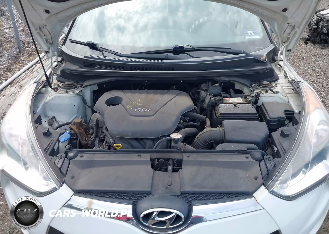 2013 Hyundai Veloster Base W-Black VIN:KMHTC6AD2DU141333 - 10