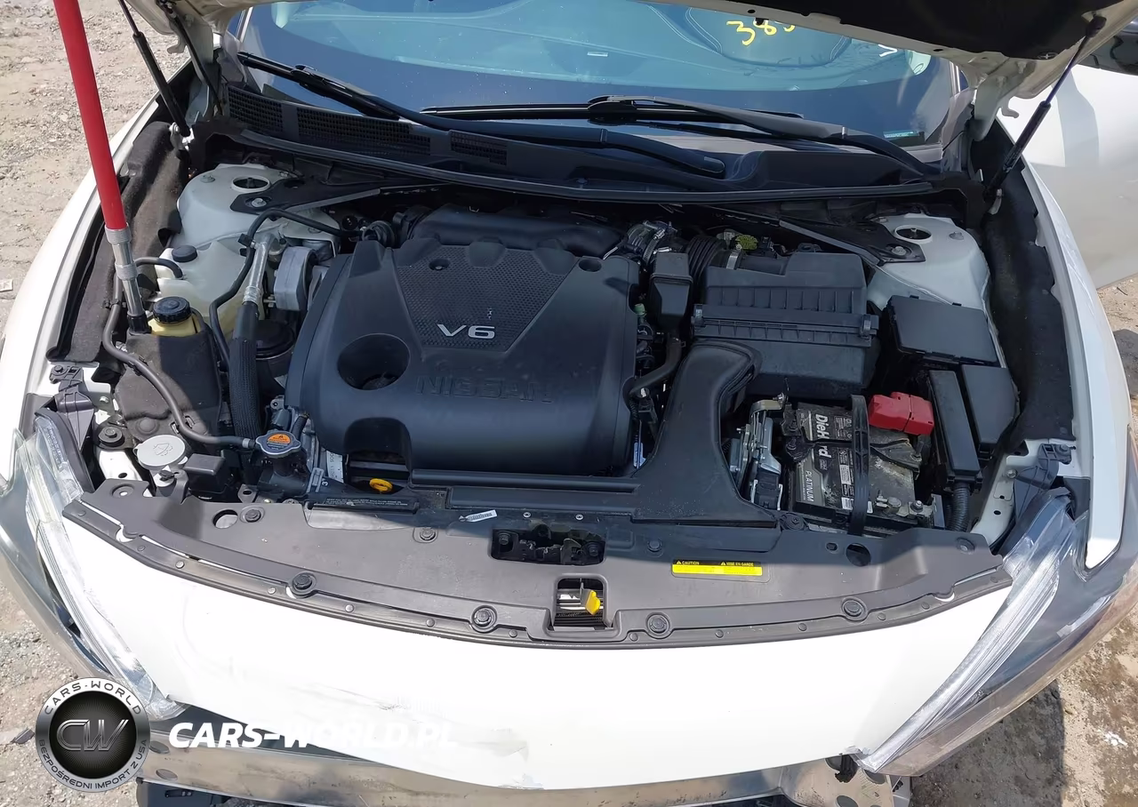 2017 Nissan Maxima 3.5 Platinum VIN:1N4AA6AP0HC385642 - 10