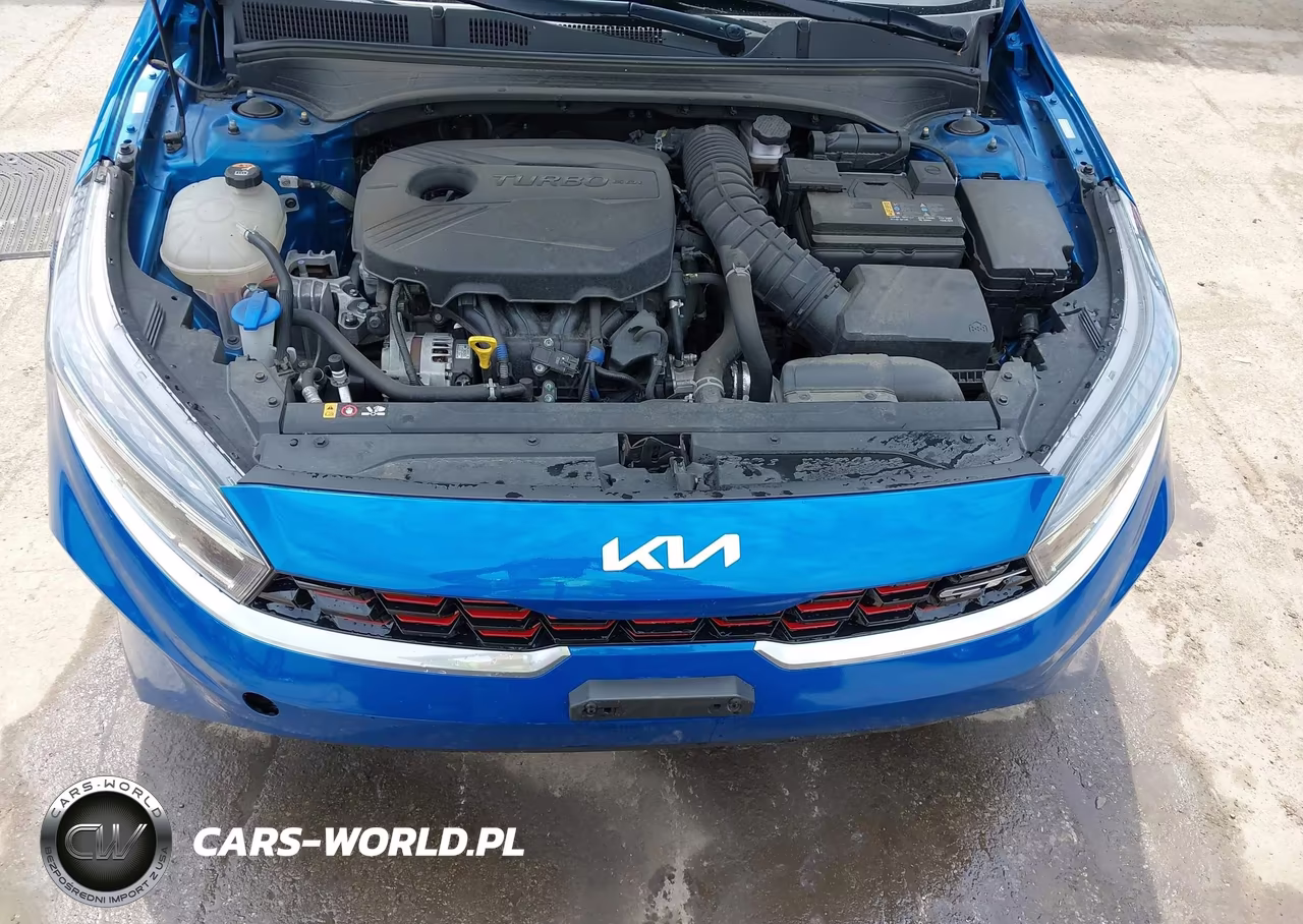 2023 Kia Forte Gt VIN:3KPF44ACXPE620726 - 10