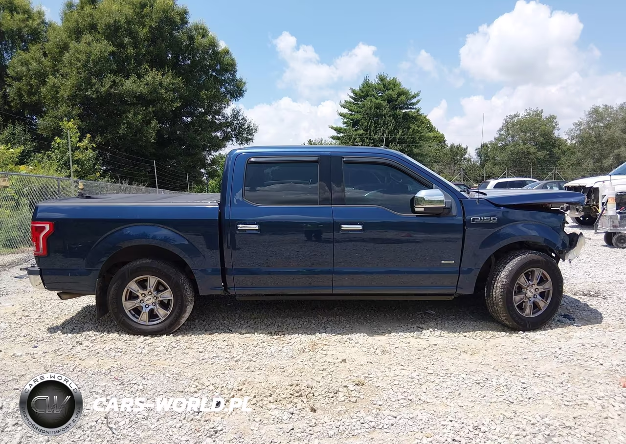 2015 Ford F-150 Xlt VIN:1FTEW1CP5FKD03856 - 12