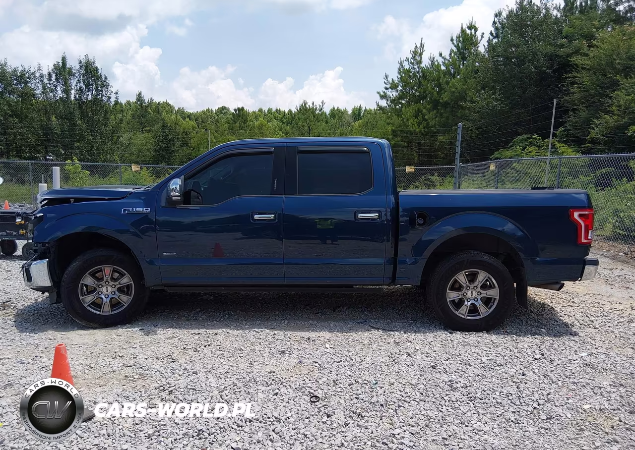 2015 Ford F-150 Xlt VIN:1FTEW1CP5FKD03856 - 13
