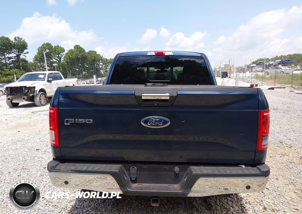 2015 Ford F-150 Xlt VIN:1FTEW1CP5FKD03856 - 15