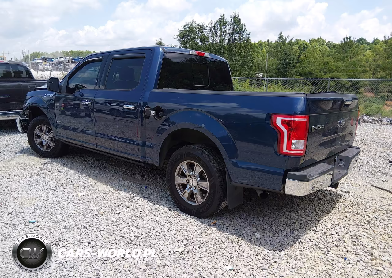 2015 Ford F-150 Xlt VIN:1FTEW1CP5FKD03856 - 3