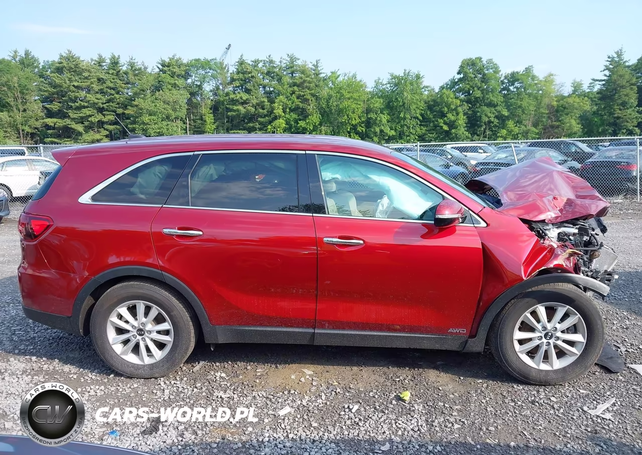 2020 Kia Sorento 2.4L Lx VIN:5XYPGDA38LG663664 - 13