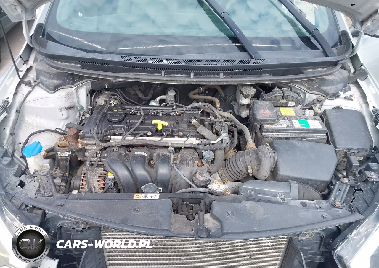 2016 Kia Forte Lx VIN:KNAFX4A69G5566216 - 10
