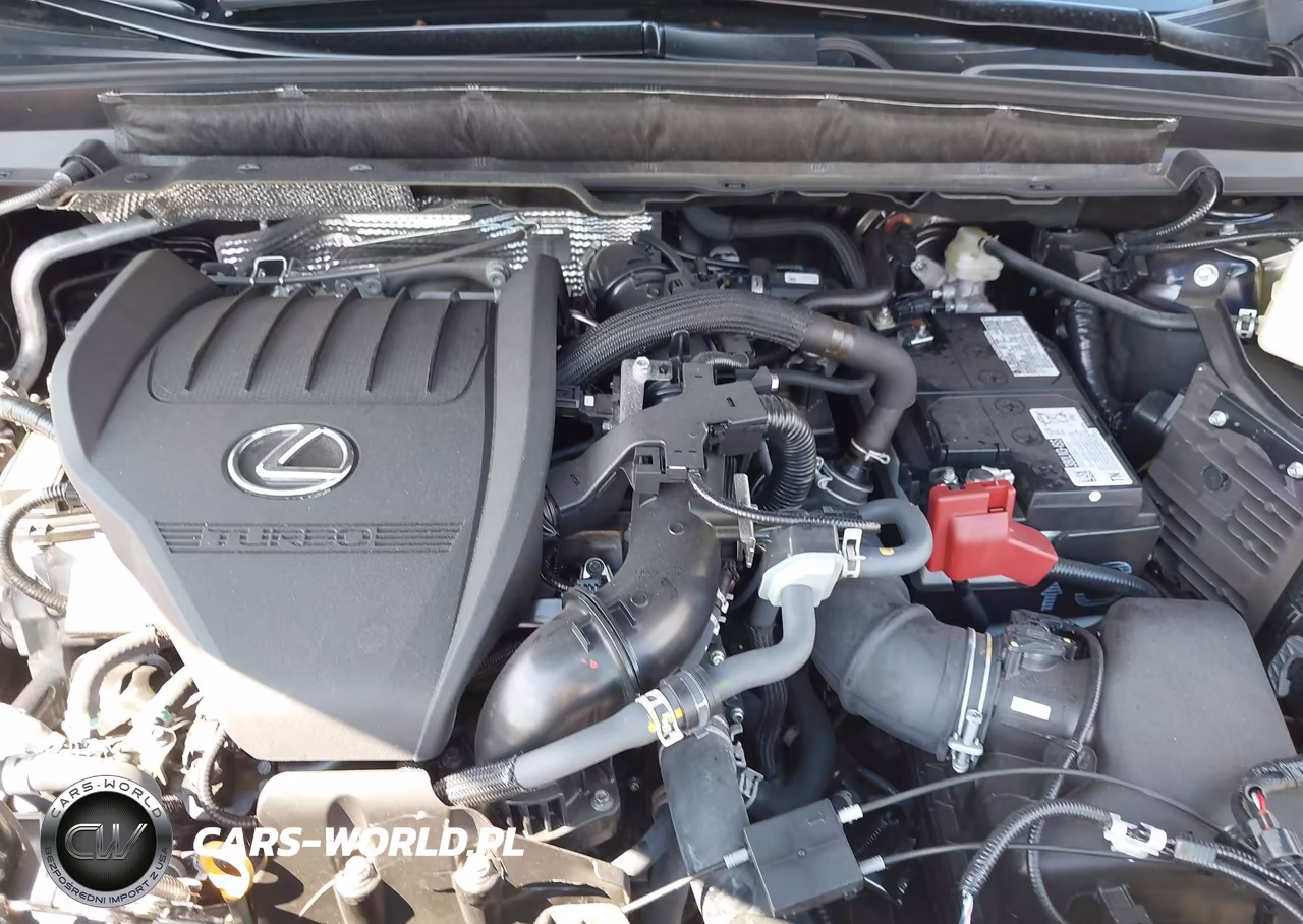 2025 Lexus Rx 350 Premium VIN:2T2BAMCA4SC109342 - 10