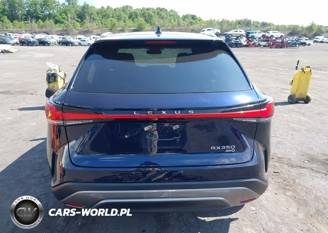 2025 Lexus Rx 350 Premium VIN:2T2BAMCA4SC109342 - 16