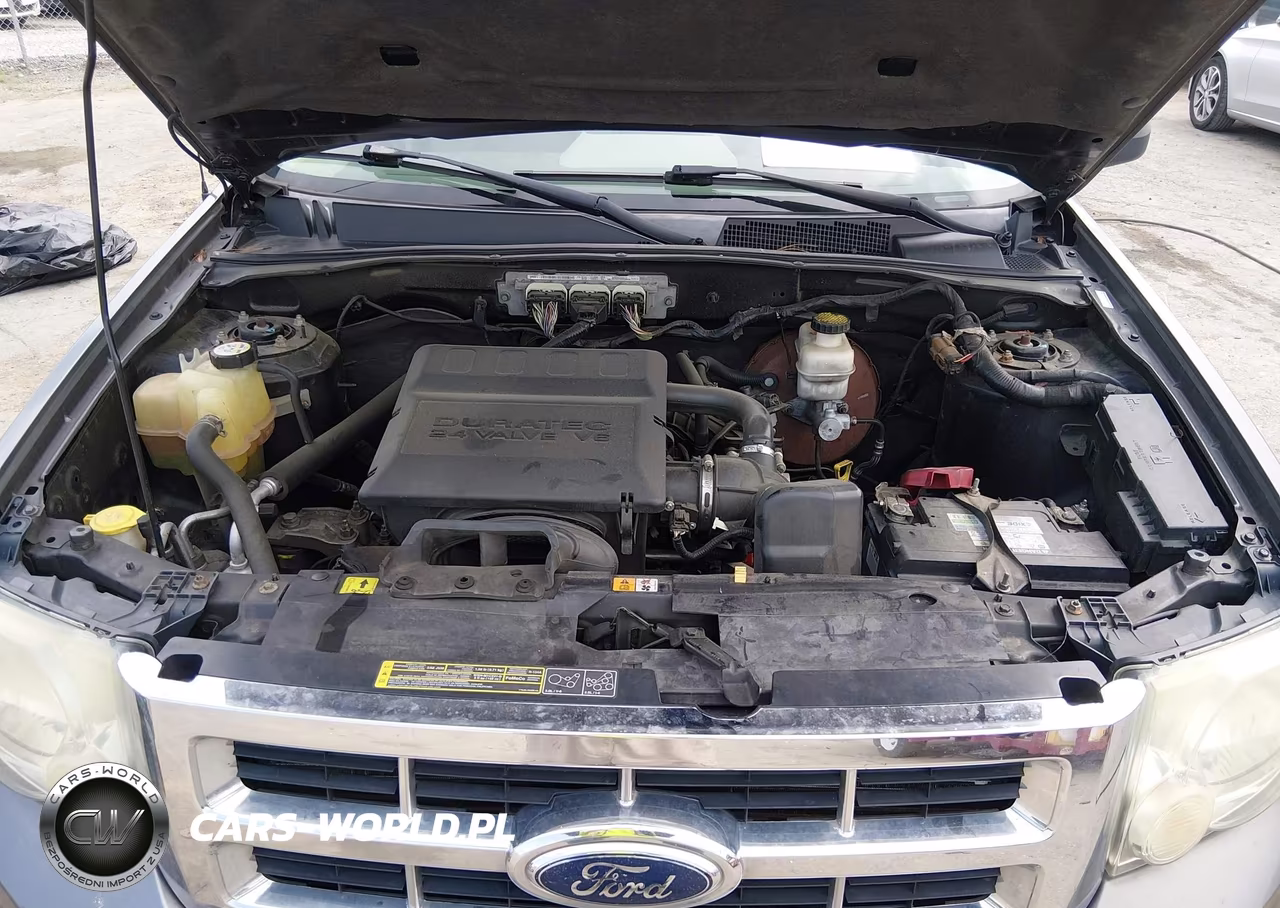 2009 FORD ESCAPE XLT VIN:1FMCU93G69KB62260 - 10