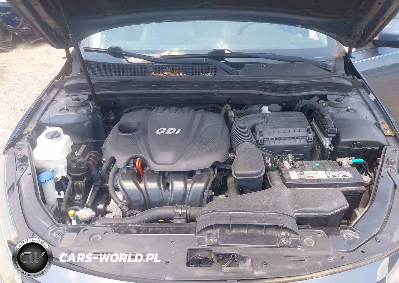 2015 Kia Optima Ex VIN:5XXGN4A73FG412309 - 10