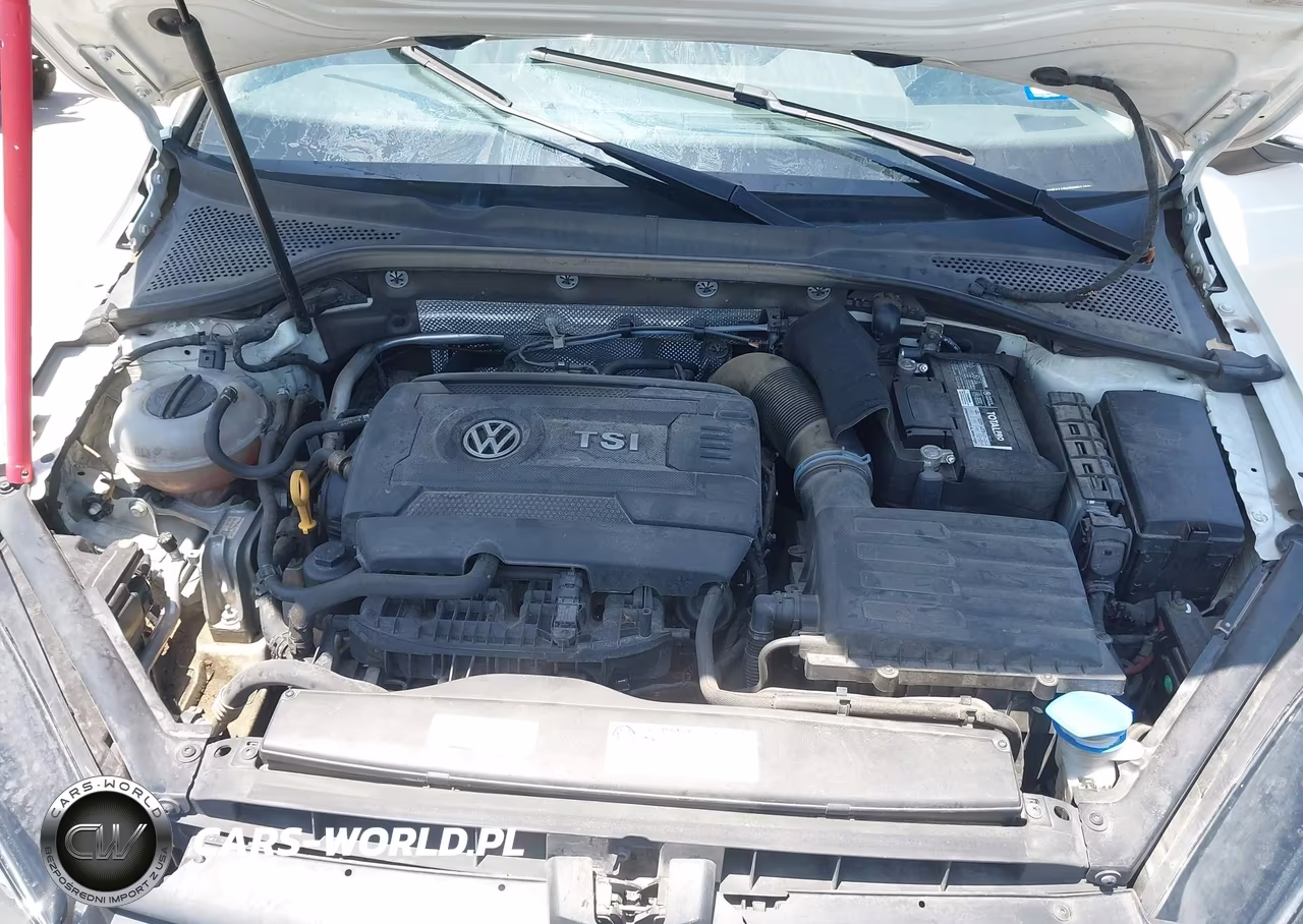 2016 Volkswagen Golf Tsi Se 4-Door VIN:3VW217AU4GM017596 - 10