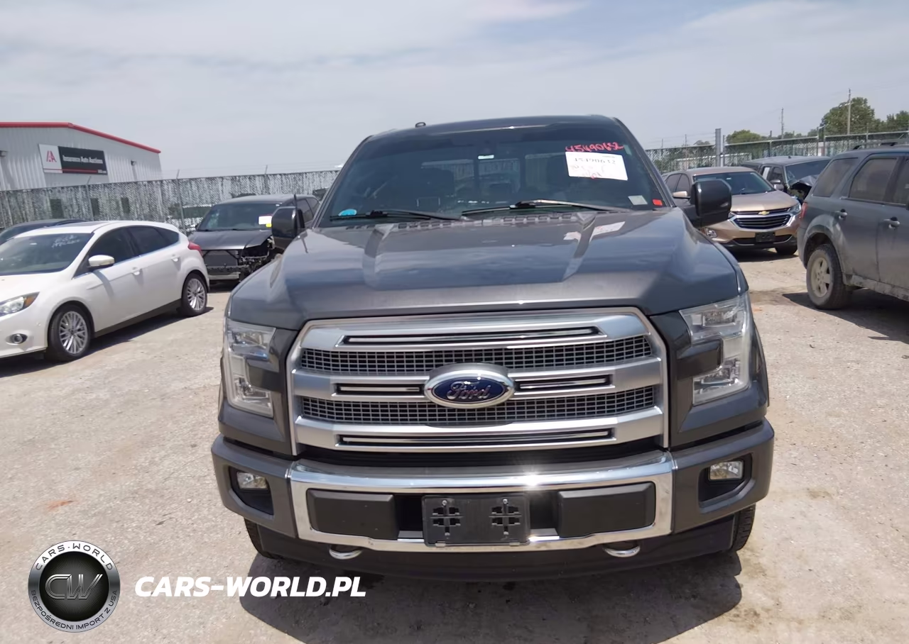 2017 Ford F-150 Platinum VIN:1FTEW1EG4HFB52291 - 12