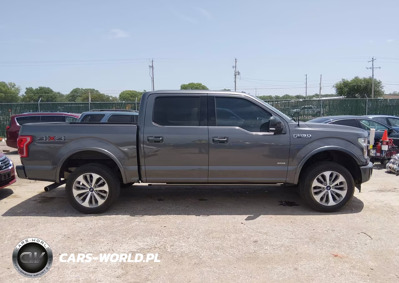 2017 Ford F-150 Platinum VIN:1FTEW1EG4HFB52291 - 13