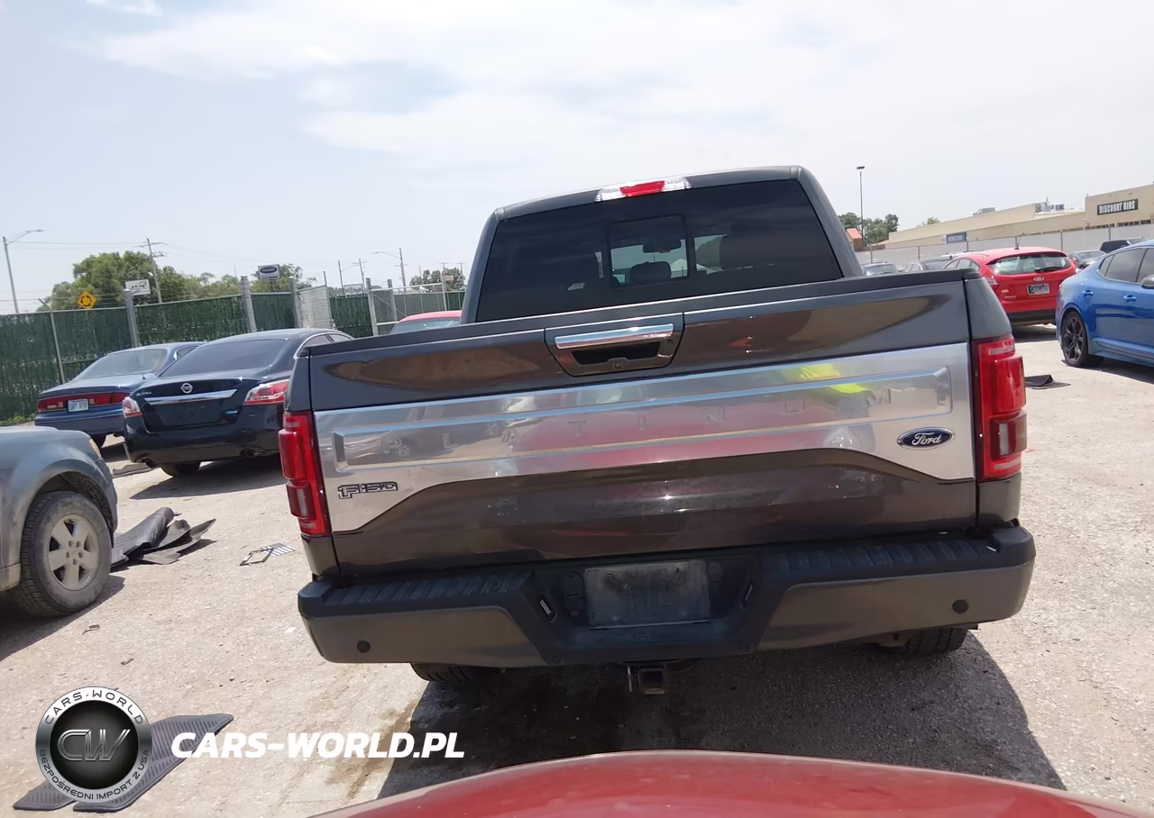 2017 Ford F-150 Platinum VIN:1FTEW1EG4HFB52291 - 16