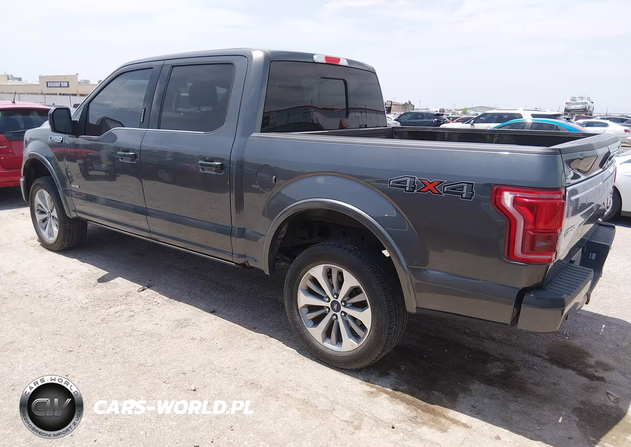 2017 Ford F-150 Platinum VIN:1FTEW1EG4HFB52291 - 3