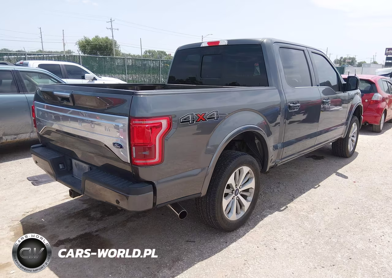 2017 Ford F-150 Platinum VIN:1FTEW1EG4HFB52291 - 4
