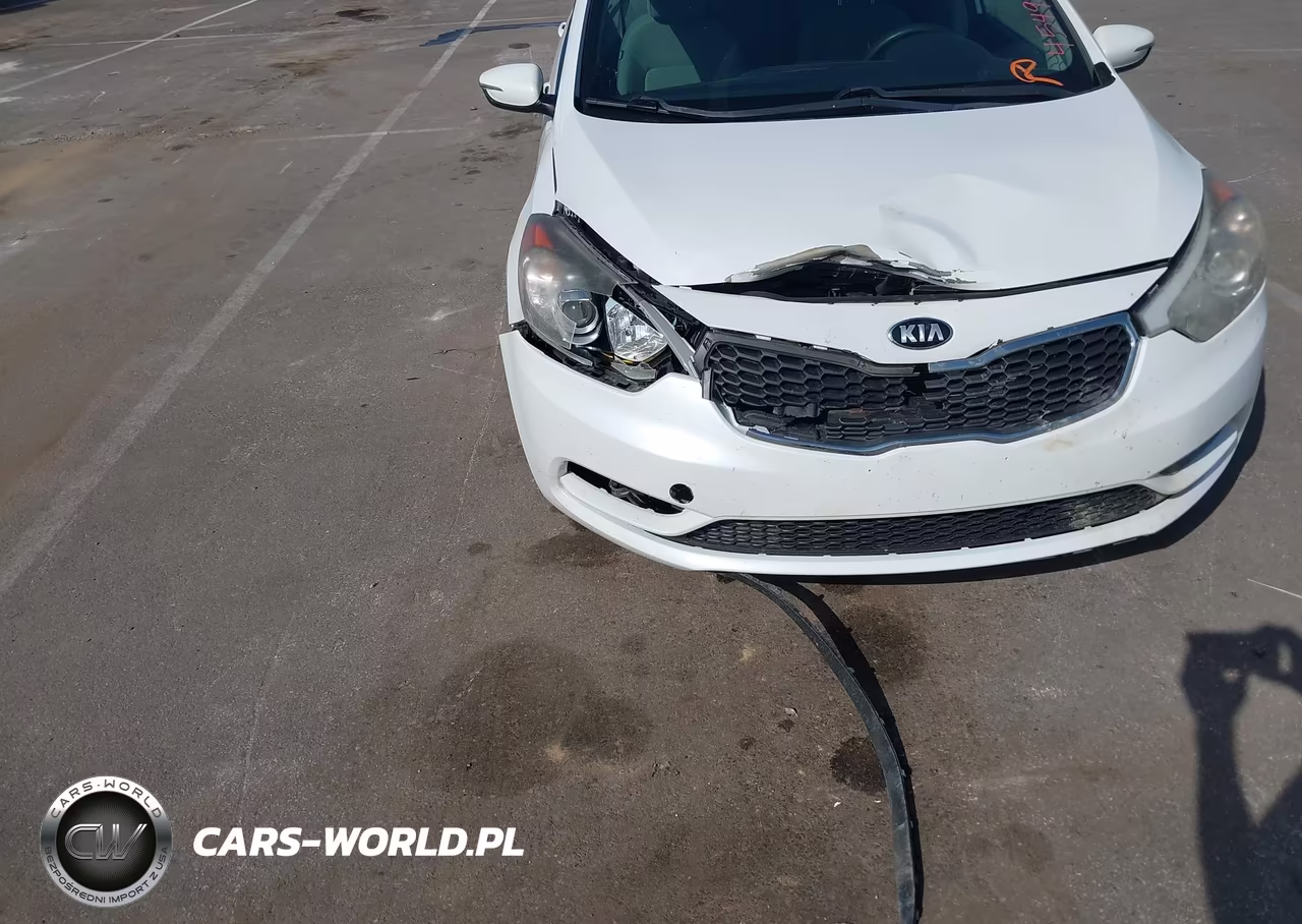 2016 Kia Forte Lx VIN:KNAFX4A61G5470645 - 12